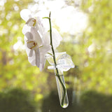 Two's Company TC 2199-95 Wall Flowers for Window Display