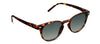 Peepers PS 3655D Boho II Sunglasses - Tortoise