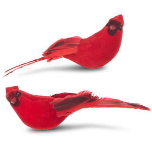 RAZ IMPORTS RI 4053314 7" Clip On Cardinal Ornament