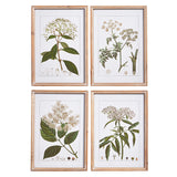 Raz Imports RZ 4344540 Botanical Framed Print 18in