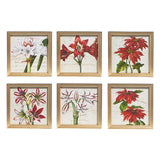 Raz Imports RZ 4344585x 10" Amarylis & Poinsettia Framed Print