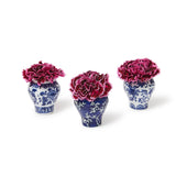 Two's Company TC 53604-20x Bamboo and Rose Mini Ginger Jar with 20 Bamboo Picks Blue and White Floral Patterns - 3 Styles