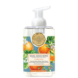 Michel Design 26 801xx Foaming Hand Soap Collection, 17.8oz