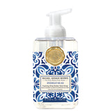 Michel Design 26 801xx Foaming Hand Soap Collection, 17.8oz