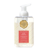 Michel Design 26 801xx Foaming Hand Soap Collection, 17.8oz