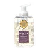 Michel Design 26 801xx Foaming Hand Soap Collection, 17.8oz
