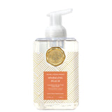 Michel Design 26 801xx Foaming Hand Soap Collection, 17.8oz