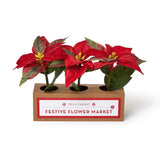 Two's Company 26 82953xx Festive Flower Market Poinsettias Set of 3 - 3 Colors