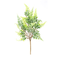 Wing Tai Trading WTT FAQ41750B GROW WILDLY FERN PICK