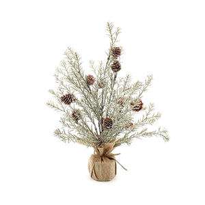 Wing Tai Trading WTT Japanese Cedar Tree 16in