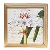 Raz Imports RZ 4344585x 10" Amarylis & Poinsettia Framed Print