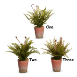 Raz Imports 26 4622726x Potted Fern, 12in - 3 Styles