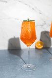 d'Marie Inc DI IC03 Aperol Spritz Cocktail Slush Mix 10oz