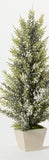 Sullivans SU TR1111x Potted Pine Berry Tree