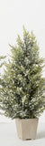 Sullivans SU TR1111x Potted Pine Berry Tree