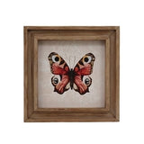 VIP Home & Garden VIP PU12304x Butterfly Art Print In Frame - 3 Styles