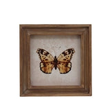 VIP Home & Garden VIP PU12304x Butterfly Art Print In Frame - 3 Styles