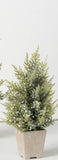 Sullivans SU TR1111x Potted Pine Berry Tree