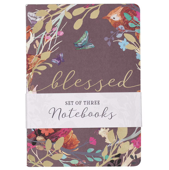 Christian Art Gifts CAG NBS0xx Blessed Is She Notebook Set of 3