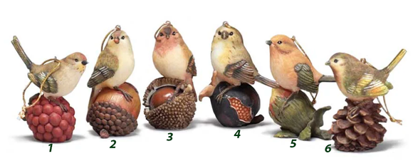 Dickson Gifts DG CHO-132 Birds on Nuts Ornament - 6 Styles