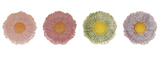Hazel Mazel 26 HM0594x Stoneware Flower Shaped Plate - 4 Colors