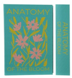 Hazel Mazel 26 HM0739x MDF & Canvas Book Storage Box - 6 Styles