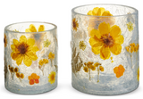 Raz Imports 26 4671276x Buttercup Glass Pattern Container - 2 Sizes