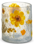 Raz Imports 26 4671276x Buttercup Glass Pattern Container - 2 Sizes