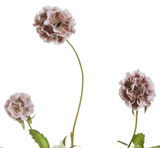 Raz Imports 26 F4622635 Textured Floral Ball Spray, 30in - 3 Colors