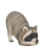 Transpac 26 TS01019x Resin Woodland Raccoon - 3 Styles