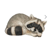 Transpac 26 TS01019x Resin Woodland Raccoon - 3 Styles