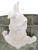 Transpac 26 TS02978x Resin Bunny Plant Hangers - 3 Styles
