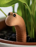 Two's Company 26 55020 Water Worm Plant Water Sensor - Terracotta/Pine Wood