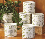 Two's Company 26 50811x Make It Grow Ceramic Garden Cachepots with Quote- 6 Styles