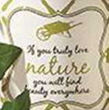 Two's Company 26 50811x Make It Grow Ceramic Garden Cachepots with Quote- 6 Styles