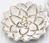 TradeCie 26 HD7129x Cast Iron Flower Dishes, White with Gold Wash, 5in - 2 Styles