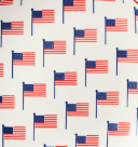 Certified Intl 26 44514 Stars & Stripes Pad Print Salad Plate - 6 Styles