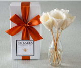 B's Knees 26 BK26xx Classic Natural Reed Diffuser - 10 Scents