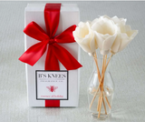 B's Knees 26 BK26xx Classic Natural Reed Diffuser - 10 Scents