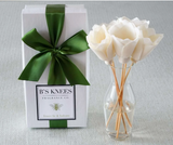 B's Knees 26 BK26xx Classic Natural Reed Diffuser - 10 Scents