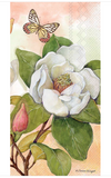 Boston Intl 26 BFxx Guest Towel -22 Styles