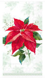 Boston Intl 26 BFxx Holiday Guest Towel -6 Styles