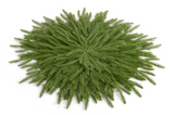 Raz Imports 26 467095x Cedar Placemat - 2 Sizes
