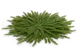 Raz Imports 26 467095x Cedar Placemat - 2 Sizes