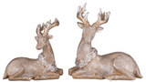 Transpac 26 Y1821 Resin Glitter Sitting Reindeer - 2 Styles