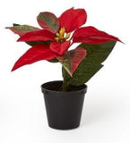Two's Company 26 82953xx Festive Flower Market Poinsettias Set of 3 - 3 Colors