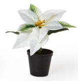 Two's Company 26 82953xx Festive Flower Market Poinsettias Set of 3 - 3 Colors