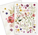 Michel Design 26 830xx Kitchen Towel Collection - Set of 2