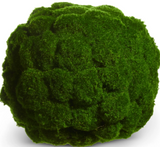 Raz Imports 26 46227xx Moss Ball - 2 Sizes