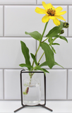 TradeCie 26 HD206x Metal Stand with Glass Vase - 2 Colors